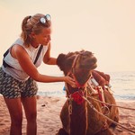 agonda india goa beach