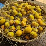 Goa April Gallery: Markets, Fruits, Weather, Beaches