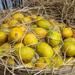 Goa April Gallery: Markets, Fruits, Weather, Beaches