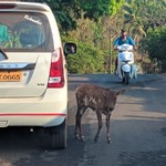 Goa April Gallery: Markets, Fruits, Weather, Beaches